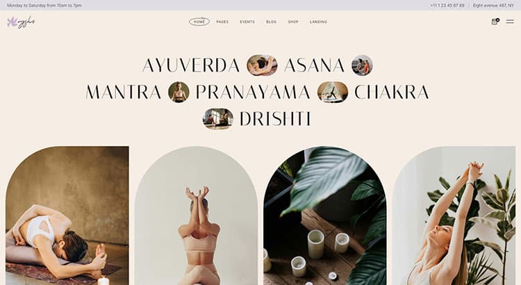 Vinyasa